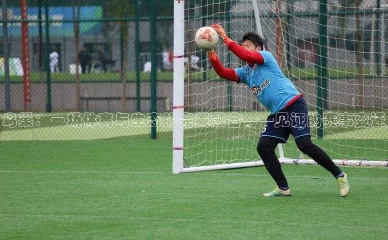 球盟体育文心一言鸟巢：一场体育与生态的完美融合——见证的赛事变迁