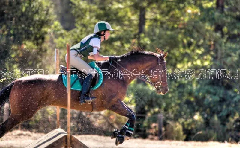 荣耀征程：全面参与运动会各赛事的精彩瞬间记录