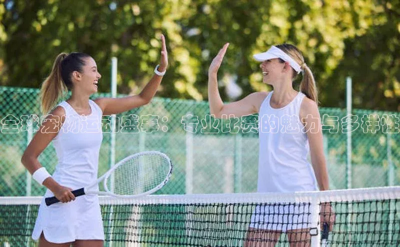 全球宠物运动盛事：专业比赛的魅力与多样性