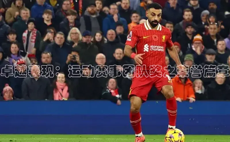 卓越表现：运动赛事团队奖之荣誉篇章