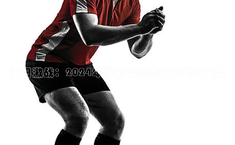 夏日激战：2024年暑假运动赛事回顾与展望