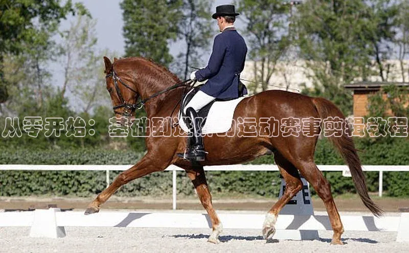 从零开始：基础到进阶的运动赛事剪辑教程