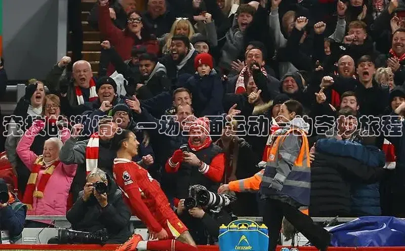 球盟会官网入口下载