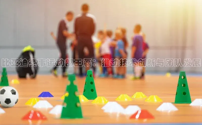 比亚迪赛事运动部王磊：推动技术创新与团队发展