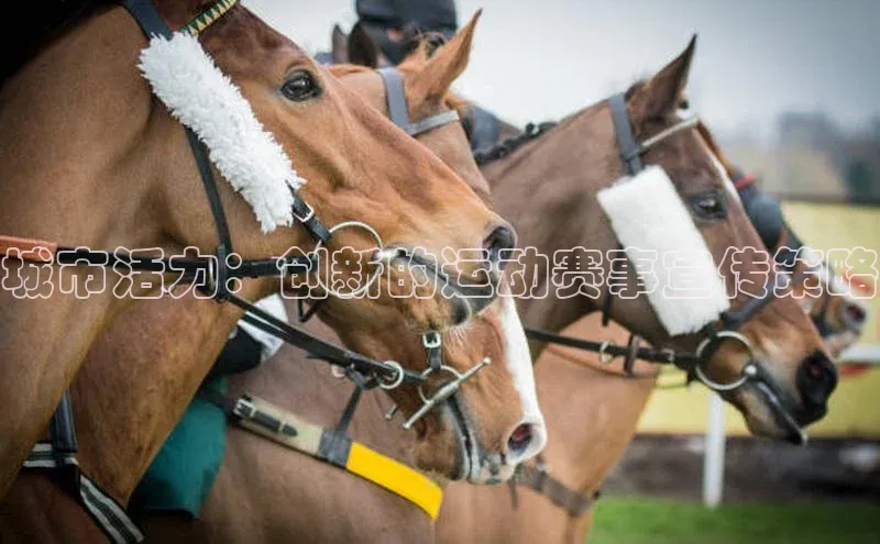 城市活力：创新的运动赛事宣传策略